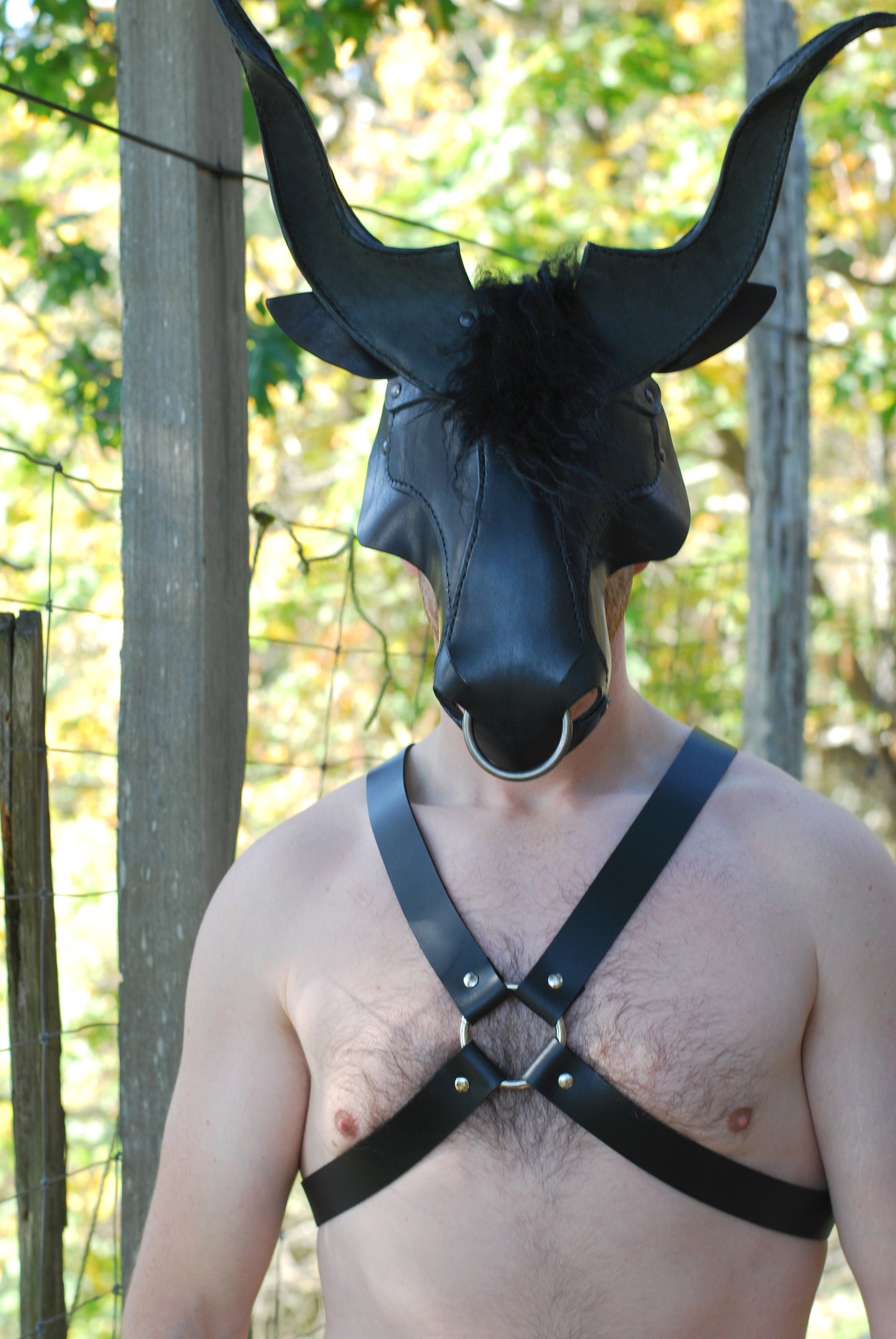 Minotaur Headpiece / Mask