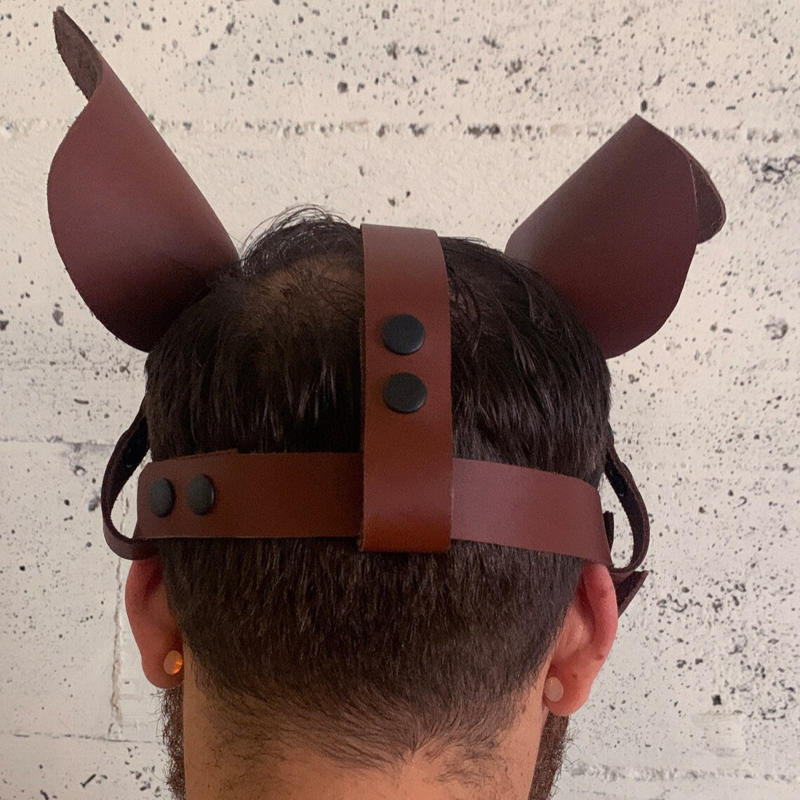 Brown Pup Mask
