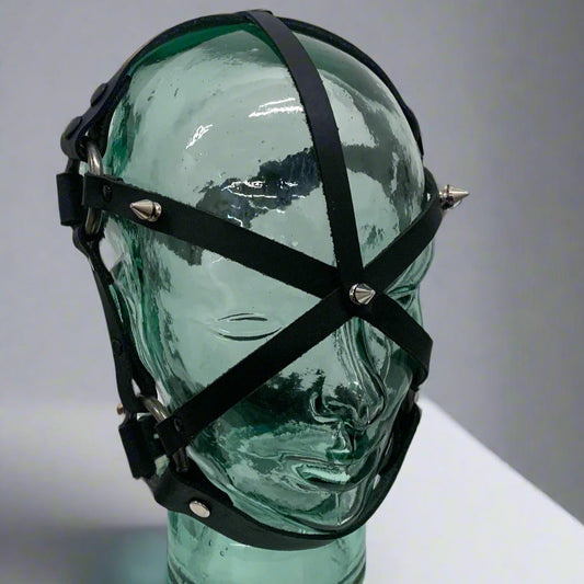 Face Harness