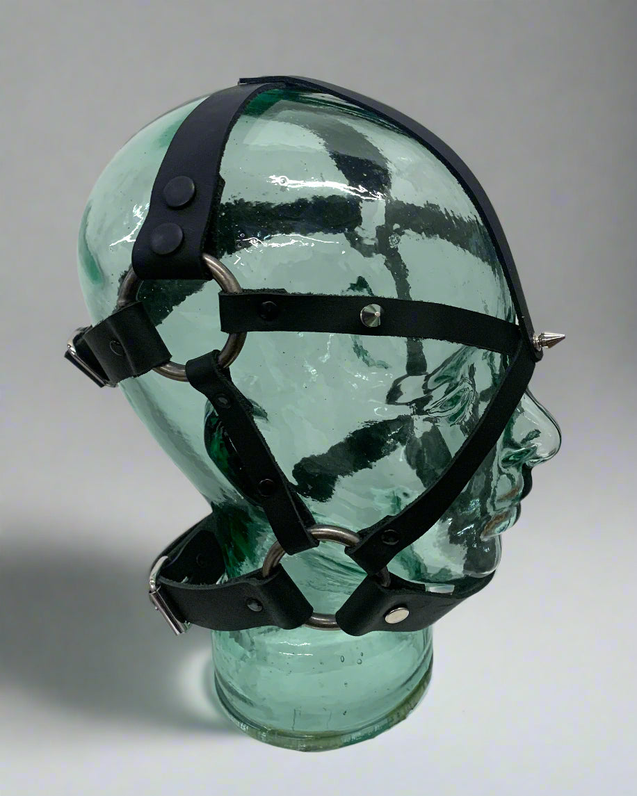 Face Harness